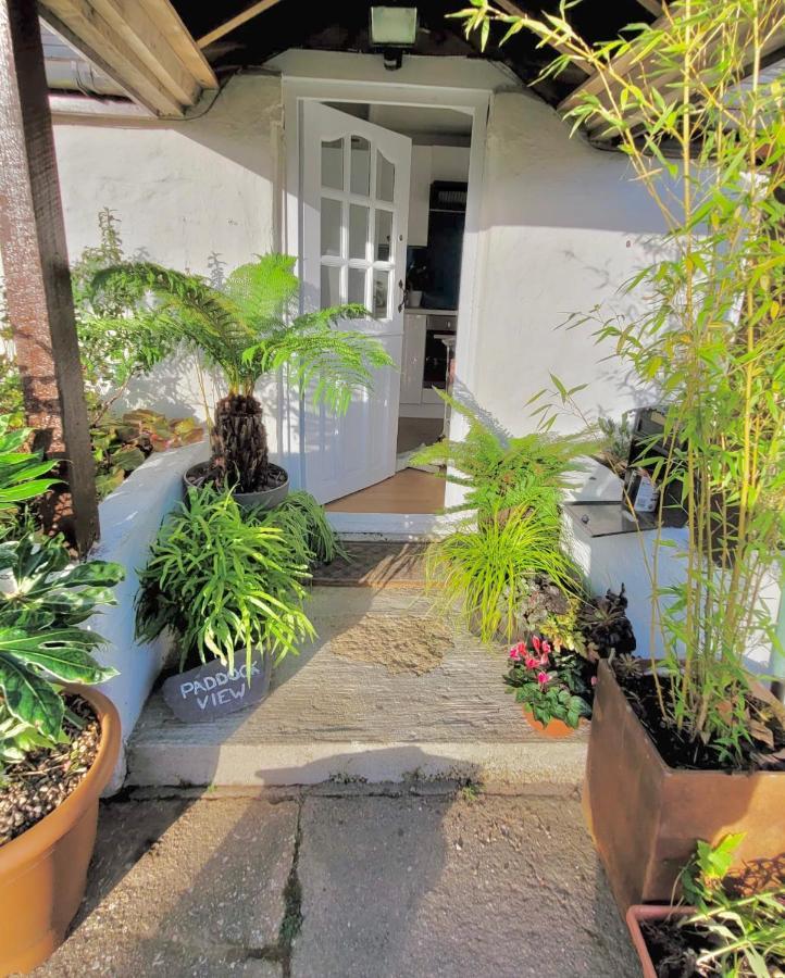 Idyllic Cornish Cottage, Superking Bed, Private Garden Dogs Welcome Truro Eksteriør bilde