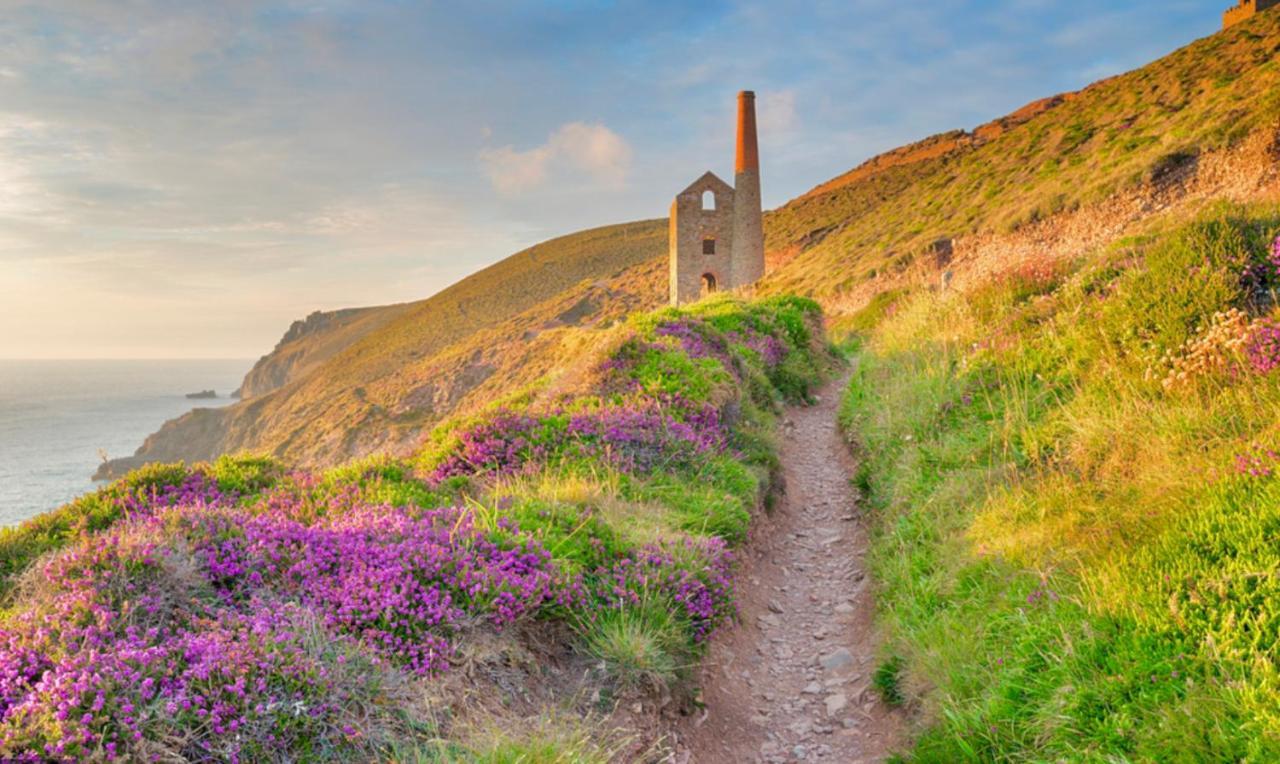 Idyllic Cornish Cottage, Superking Bed, Private Garden Dogs Welcome Truro Eksteriør bilde