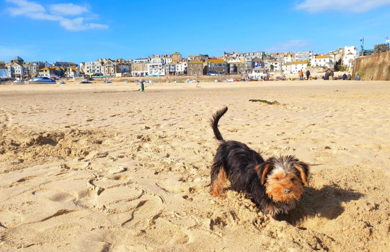 Idyllic Cornish Cottage, Superking Bed, Private Garden Dogs Welcome Truro Eksteriør bilde