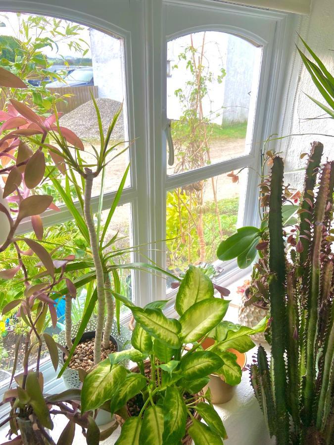 Idyllic Cornish Cottage, Superking Bed, Private Garden Dogs Welcome Truro Eksteriør bilde